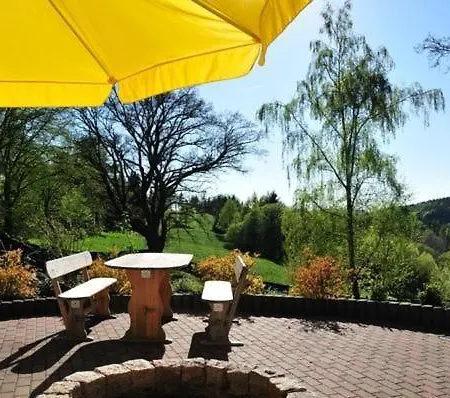 In Hohegeiss Mit Grill Und Garten Apartment