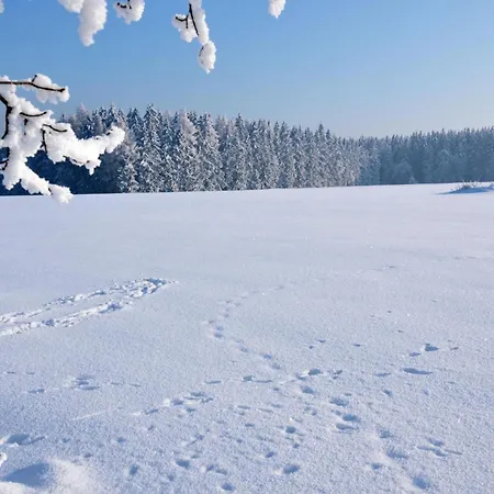 In Hohegeiss Mit Grill Und Garten Apartment Braunlage